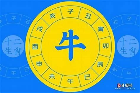 84年属什么|84年属什么生肖 1984年出生什么生肖什么命